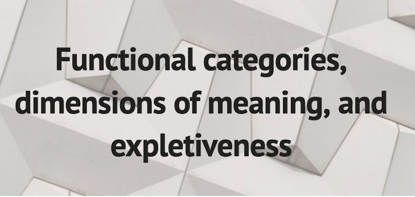 workshop functional categories, dimensions of meaning and expletiveness